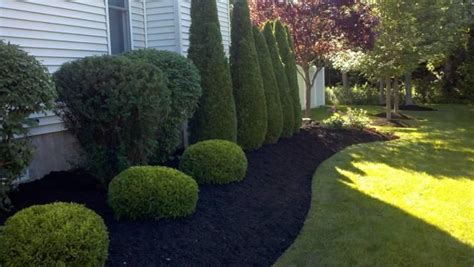 Black Mulch Landscaping | Good Granite Stairs #5 - Landscaping With Black Mulch | Mulch ...