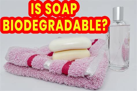 Is Soap Biodegradable?