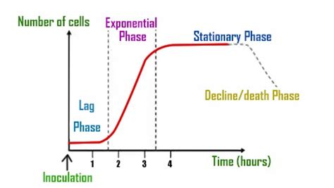 Typical growth curve in plants is(a) Sigmoid(b) Linear(c) Stair steps shaped(d) Parabolic