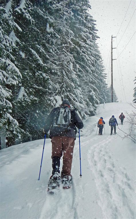 Something New: Snowshoeing | Travel, Photography, and Other Fun Adventures