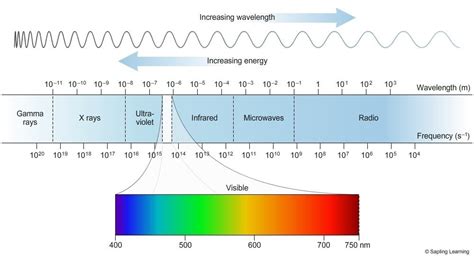 Which Of The Following Describes Light Waves