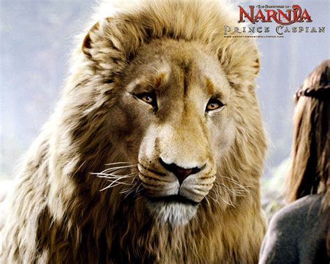 Narnia Aslan Wallpapers - Wallpaper Cave