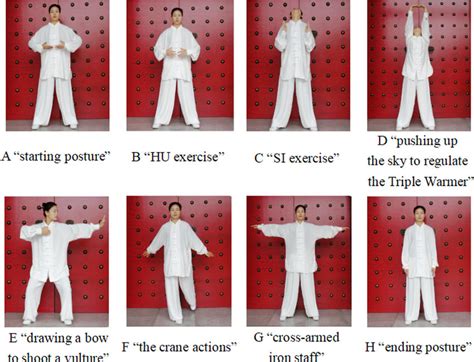 The movements of pulmonary-based Qigong exercise. The participant in... | Download Scientific ...