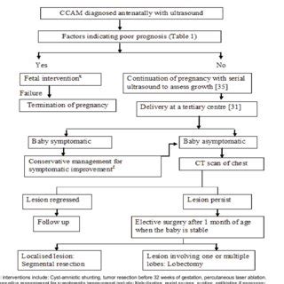 Management of antenatally diagnosed CCAM. | Download Scientific Diagram