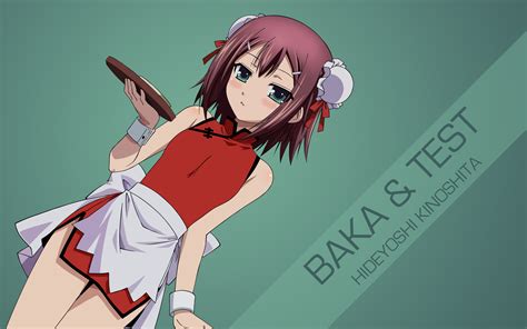 Download Anime Baka And Test HD Wallpaper by spectralfire234