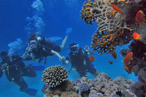 Belize Scuba Diving: Beginner's Guide to Underwater Exploration