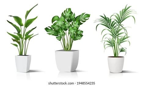 Free Photoshop Brushes - Plants | Fbrushes