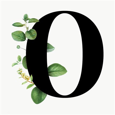 Botanical capital letter O transparent png | premium image by rawpixel.com / Aum | Lettering ...