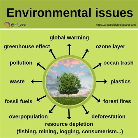 CPI Tino Grandío Bilingual Sections: Environmental issues