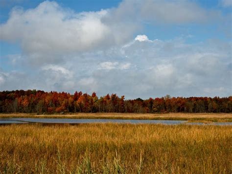 Bombay Hook National Wildlife Refuge, Delaware - Recreation.gov