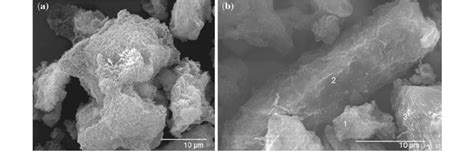 Aspect of reaction products identified by SEM after 7 days of ...