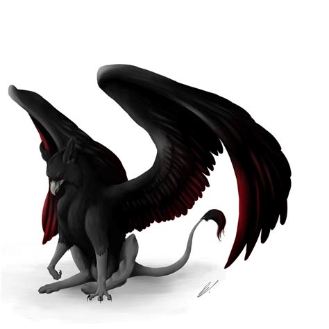 The Black Gryphon by Cookiehalo on DeviantArt