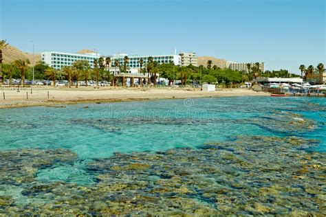 Coral Reef on the Red Sea Eilat Stock Photo - Image of natural ...