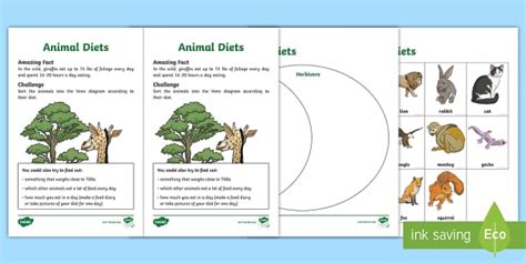 Animal Diets Cut and Paste Activity (teacher made) - Twinkl