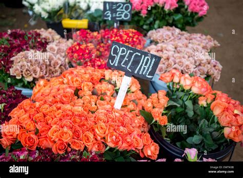 SOUTH AFRICA- Flowers for sale at farmers market in Pretoria Stock Photo - Alamy