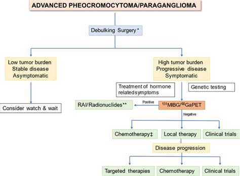 Treatment algorithm in malignant advanced pheochromocytoma or PGL that... | Download Scientific ...