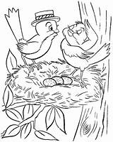 bonnie blueberry coloring Page Coloring Pages Printable Print  sketch template