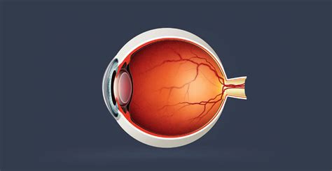 Retinal Diseases - SRS Eye Hospital