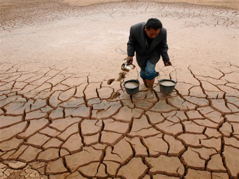 Earth has lost a third of arable land in past 40 years - Business Insider