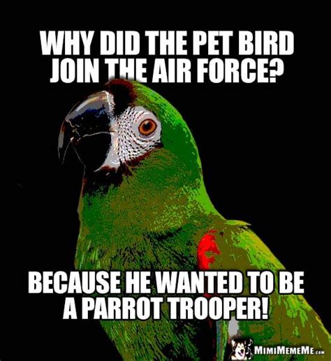 Funny Parrot Says: Why did the pet bird join the air force? Because he wanted to be a parrot ...