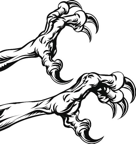 Eagle Claw Drawing Illustrations, Royalty-Free Vector Graphics & Clip Art - iStock