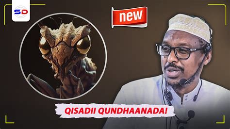 Sheekh Mustafe X | Qisadii Qudhaanjada Iyo Nabi Suleiman Muxaadiro Cusub 2024! - YouTube