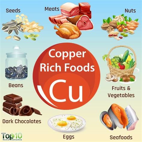 Foods High in Copper, Signs of Deficiency, & Health Benefits | Whole food vitamins, Food, Whole ...