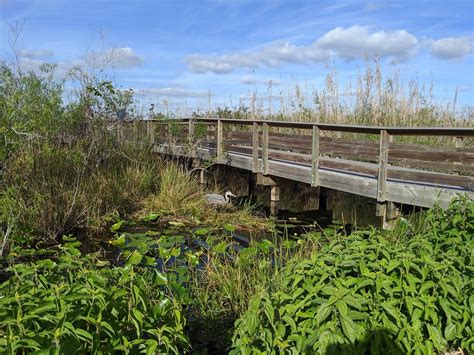 Everglades National Park reopening in phases May 4 - Florida Keys ...