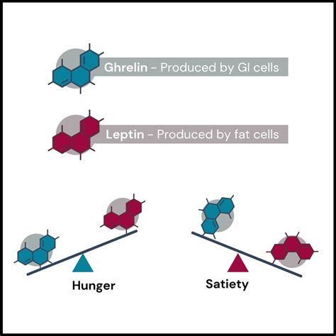 Ghrelin Receptor Gene: The Hunger Hormone & Eating Behaviour