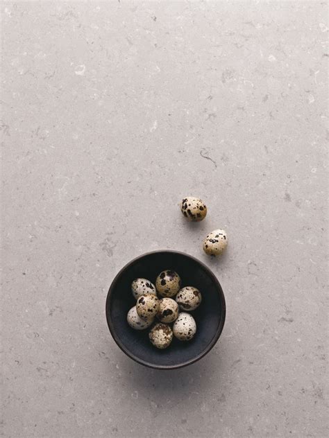 Flecks and specks with 4130 Clamshell - Caesarstone® | Caesarstone, Countertops, Countertop design