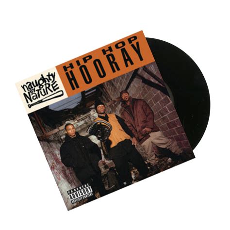 Naughty by Nature - Hip-Hop Hooray b/w Written On Ya Kitten Remix (7")