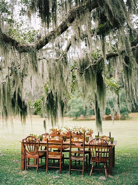 spanish-moss-wedding