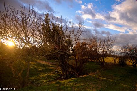 Contre-jour - Landscape & Rural Photos - 26 fragments