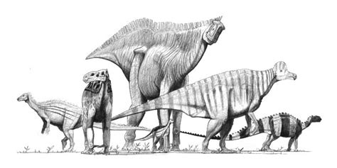 Mesozoic Archives: Ornithopod Biodiversity and Evolution