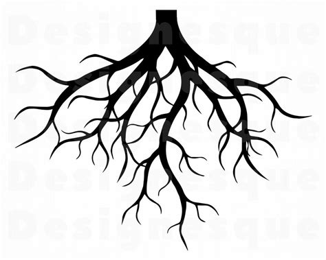 Realistic Tree Roots Png : Find over 100+ of the best free tree roots ...