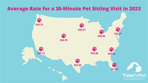 What Is The Average Rate For Dog Sitting