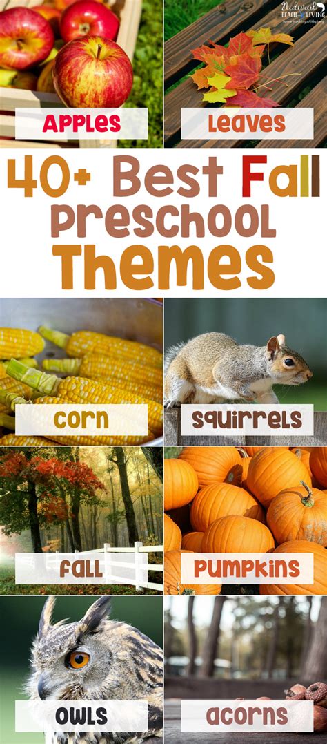 40+ Best Fall Preschool Themes and Activities - Natural Beach Living