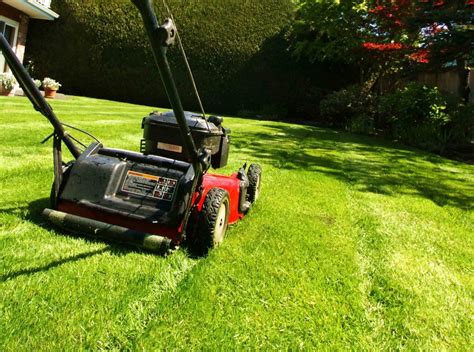 Myths vs. Reality: Lawn Care & Maintenance - Massey Services, Inc.