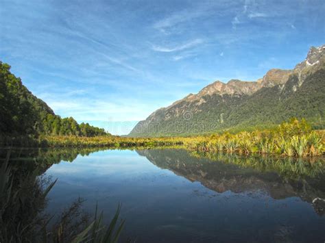 MIRROR LAKE , NEW ZEALAND stock image. Image of green - 64342385