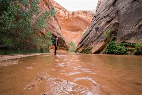 How to Hike Coyote Gulch in Grand Staircase Escalante in One Day