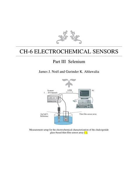 (PDF) Electrochemical Sensors