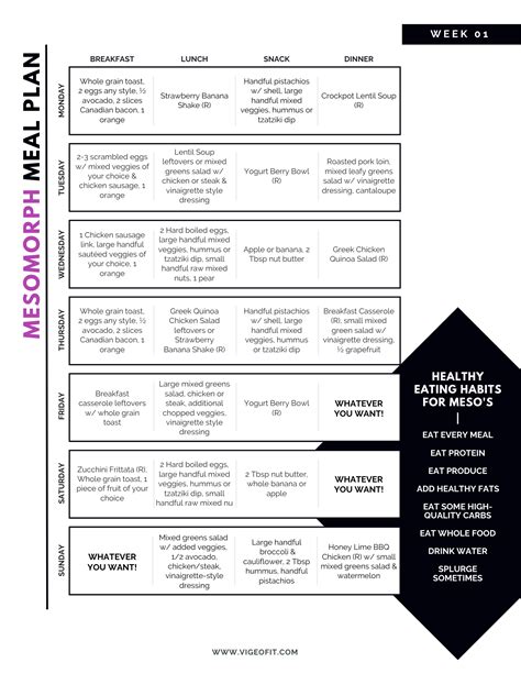 Mesomorph Meal PLan | VIGEO