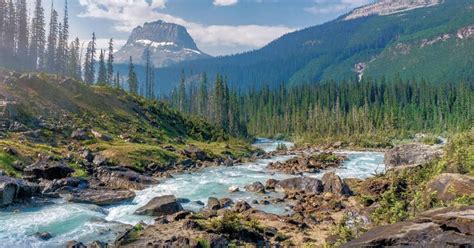 9 Best Day Hikes In Yoho National Park, Canada - Forever Karen