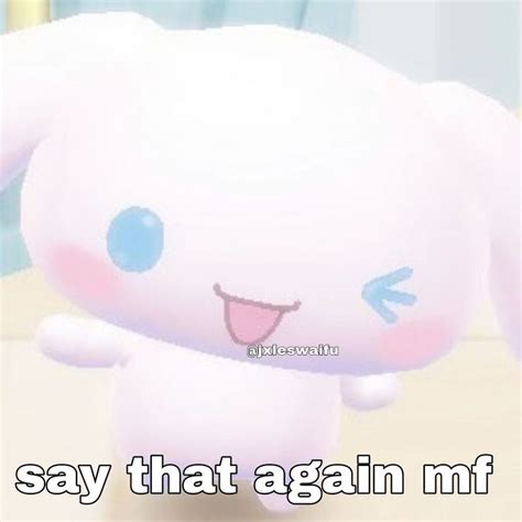 cinnamoroll reaction pic .｡*♡ | Cute memes, Hello kitty characters, Hello kitty