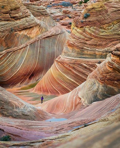 The Wave, Arizona Places To See, Places To Travel, Travel Destinations, The Wave Arizona ...