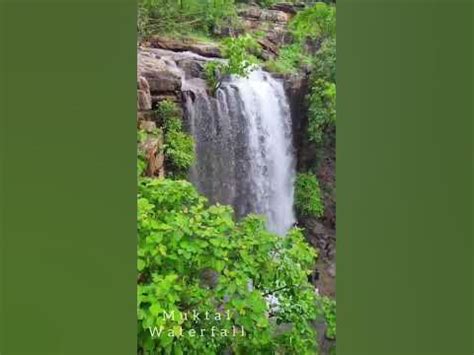 Muktai Waterfall | Nature Beauty | Gadchiroli Dist. #viral #shortsvideo #shortsviral # ...