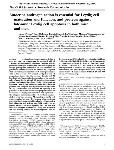 (PDF) Autocrine androgen action is essential for Leydig cell maturation and function, and ...