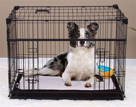 LUCKY DOG Sliding Double Door Wire Dog Crate, 36 inch - Chewy.com