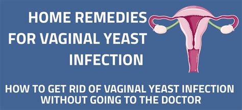 15 Home Remedies for Vaginal Yeast Infection [Infographic] - Home ...