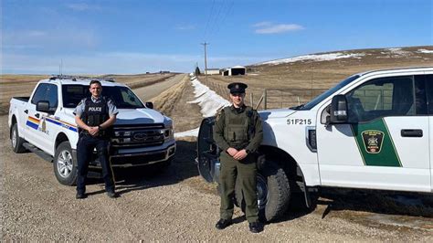 Alberta fish and wildlife officers can now help RCMP if requested | rdnewsnow.com